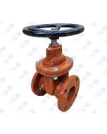  8" NRS Gate Valve