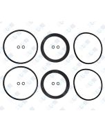 1st and 2nd Check Rubbers