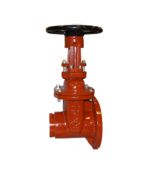  2 1/2" OSY GxF Gate Valve