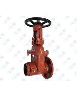 4" OSY GxF Gate Valve