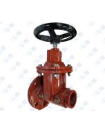 3" NRS GxF Gate Valve