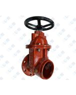 4" NRS GxF Gate Valve