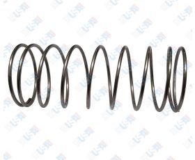 805YB Bypass Check Spring