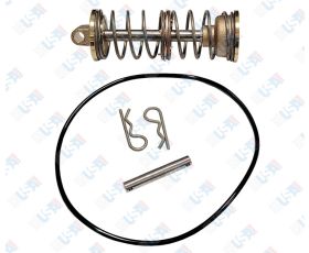 2nd Check Spring Module