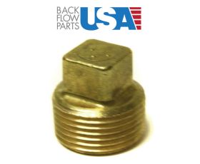 1" Brass Plug