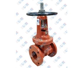 3" OSY Gate Valve