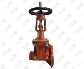 3" OSY GxF Gate Valve