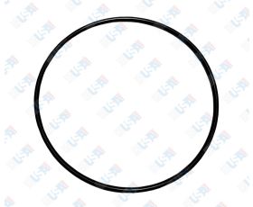 Check Cover O-Ring