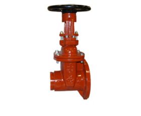 10" OSY GxF Gate Valve