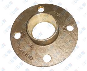 2 1/2" 125# Companion Flange