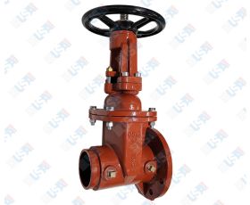  6" OSY GxF Gate Valve