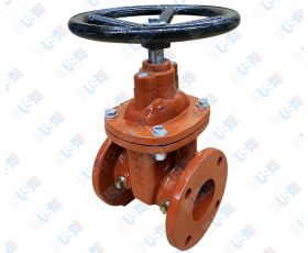 4" NRS Gate Valve