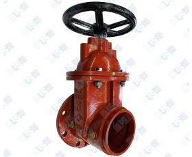 8" NRS GxF Gate Valve