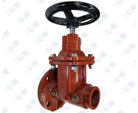 2 1/2" NRS GxF Gate Valve