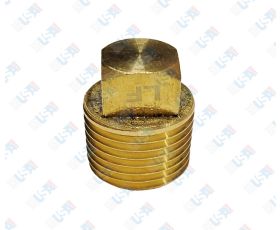 1/2" Brass Plug