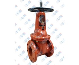 10" OSY Gate Valve
