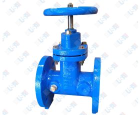  2 1/2" NRS Gate Valve 