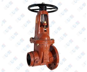6" OSY GxF Gate Valve