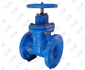 4" NRS Gate Valve