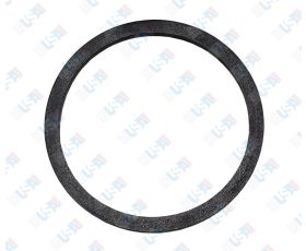 Union Gasket