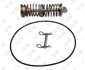 2nd Check Spring Module