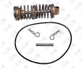 1st Check Spring Module