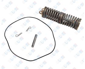 1st Check Spring Module