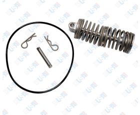 1st Check Spring Module