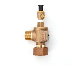 Type II Check Assembly