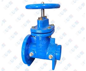 4" NRS GxF Gate Valve